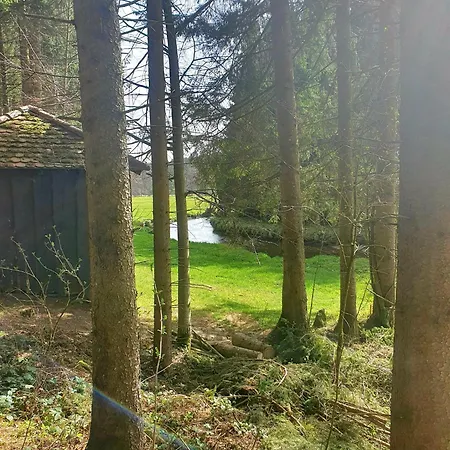 Boehmerwald Fun Feriehus *