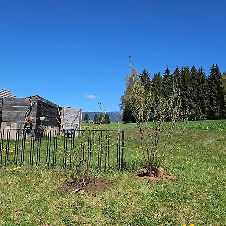 Feriehus Boehmerwald Fun Schwarzenberg am Bohmerwald