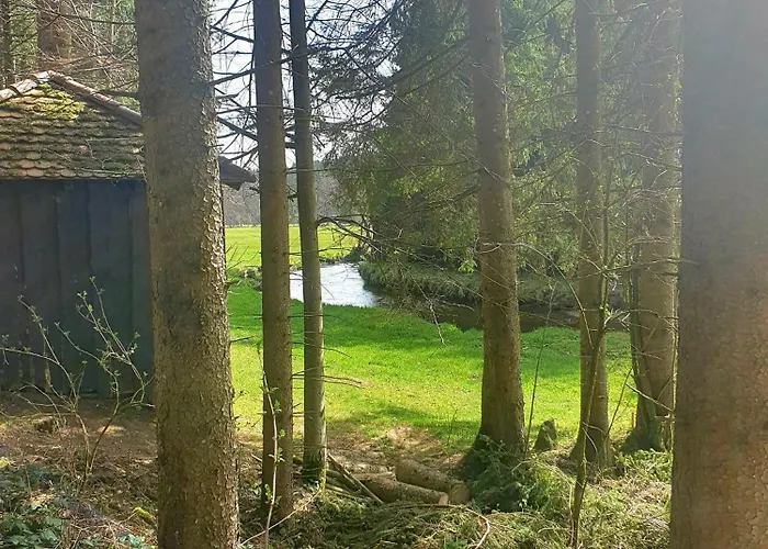 Boehmerwald Fun بيت للعطل *