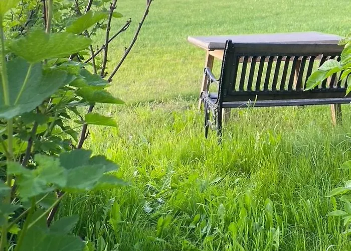 Boehmerwald Fun Schwarzenberg am Bohmerwald